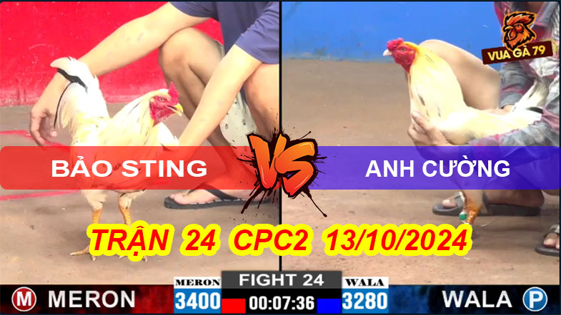Trận 24 CPC2 13/10/2024 –Bảo Sting Bị A Cường Hạ