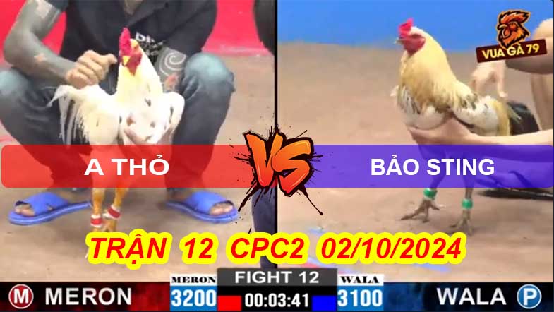 Trận 12 CPC2 02/10/2024 – Bảo Sting - Anh Thỏ