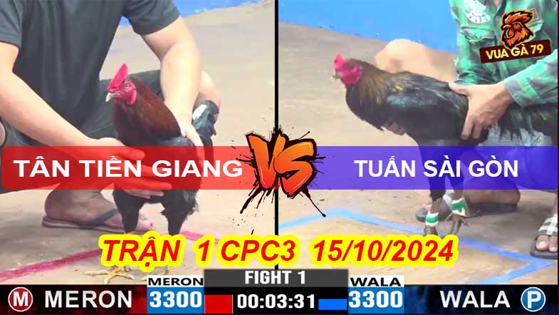 Trận 1 CPC3 15/10/2024 – Gà Anh Tuấn Đá Đâm Hạ Gà Anh Tân