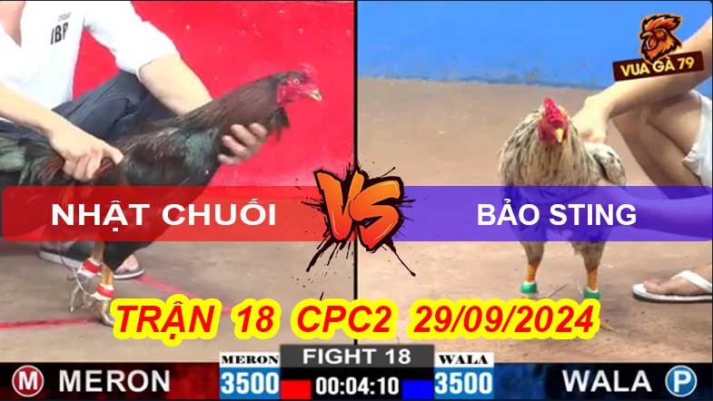 Trận 18 CPC2 29/09/2024 – Bướm Hiệu Bảo Sting Thắng Nhanh Gọn
