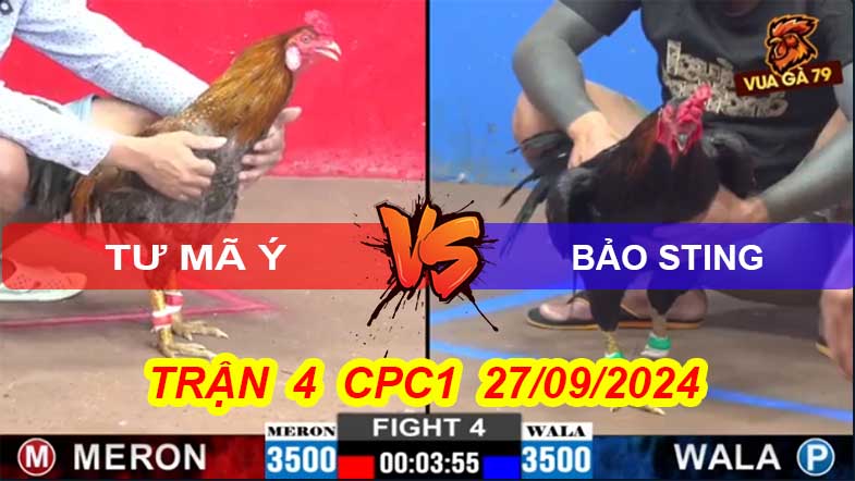 Trận 4 CPC2 27/09/2024 – Bảo Sting Bị Tư Mã Ý Hạ