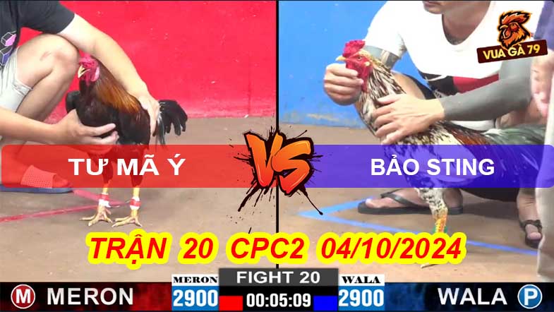 Trận 20 CPC2 04/10/2024 – Bảo Sting Đè Bạc Ăn 5 Bị Tư Mã Ý Hạ