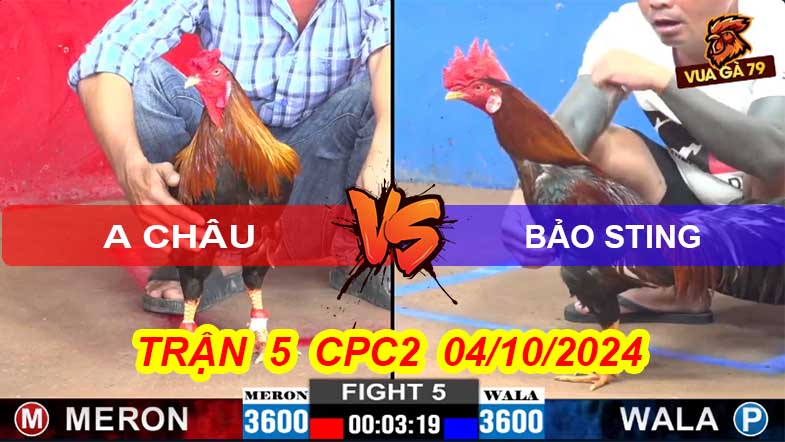Trận 5 CPC2 04/10/2024 – Bảo Sting Sửa Gà Đẳng Cấp