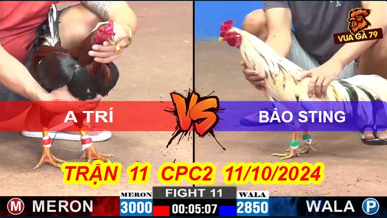 Trận 11 CPC2 11/10/2024 – Trùm Wala Đá 3 Chân Hạ Đối Thủ
