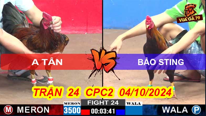 Trận 24 CPC2 04/10/2024 – Bảo Sting Sửa Gà Hạ Ngay Đối Thủ