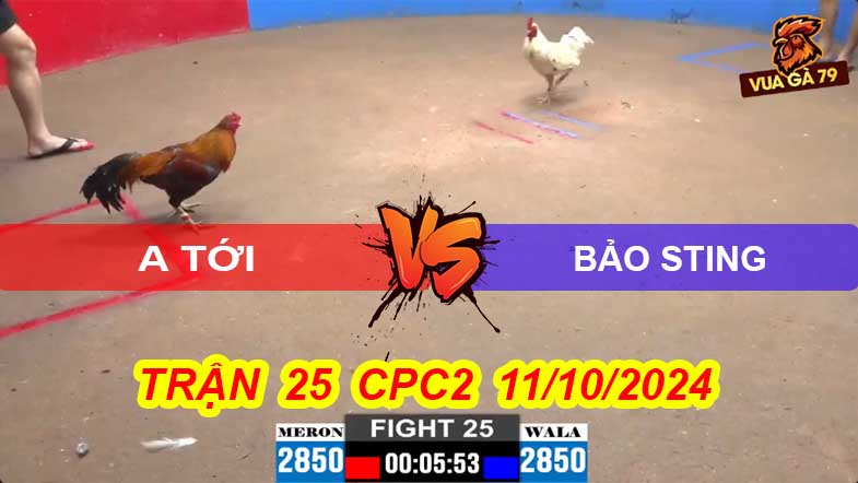 Trận 25 CPC2 11/10/2024 – Bướm Bảo Sting Thắng Dễ A Tới