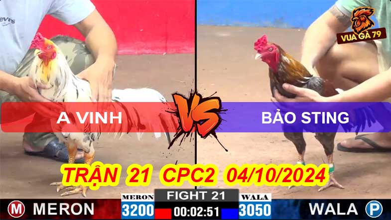 Trận 21 CPC2 04/10/2024 – Gà Bảo Sting Bị Đá Bay Khỏi Bồ