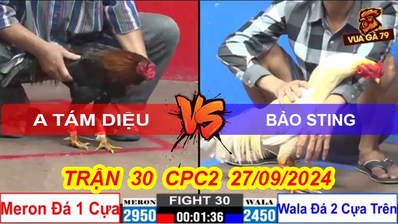 Trận 30 CPC2 27/09/2024 – Anh Tám Diệu Đụng Anh Bảo Sting