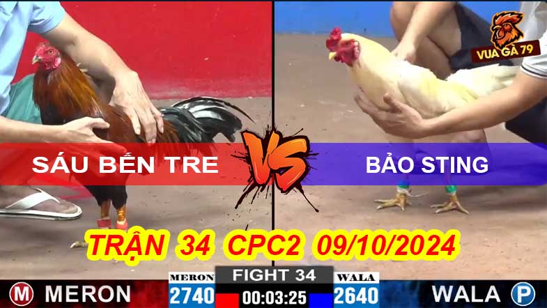 Trận 34 CPC2 09/10/2024 – Bảo Sting Thả Gà Lụm Sáu Bến Tre