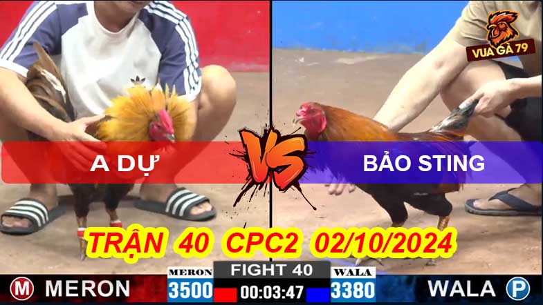 Trận 40 CPC2 02/10/2024 – Bảo Sting Thắng Áp Đảo Khi Bạc Ăn 5