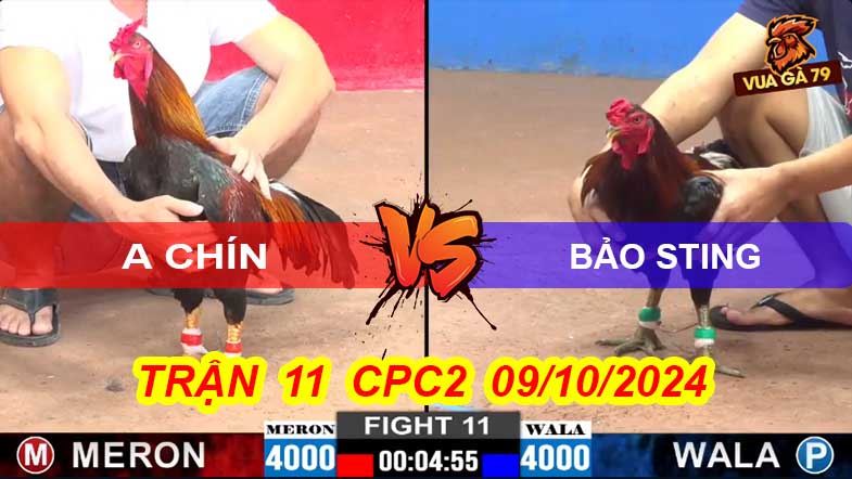Trận 11 CPC2 09/10/2024 – Bảo Sting Hạ A Chín