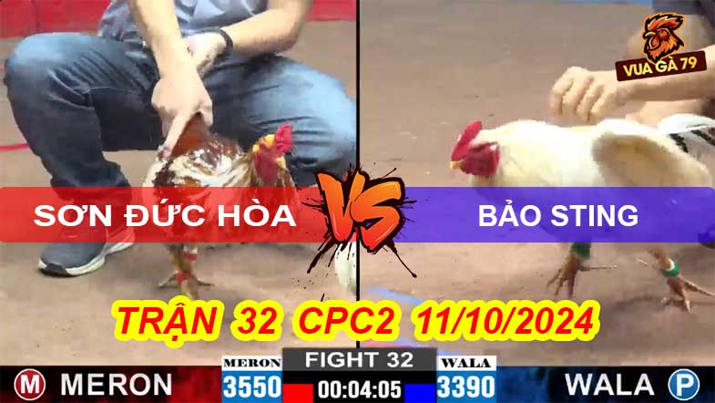 Trận 32 CPC2 11/10/2024 – A Sơn Hạ Bảo Sting Khi Bị Đè Bạc