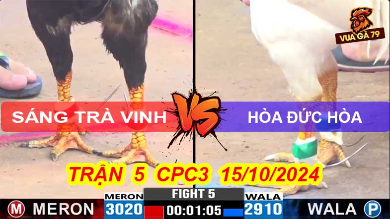 Trận 5 CPC3 15/10/2024 – Điều Anh Sáng Hạ Anh Hòa