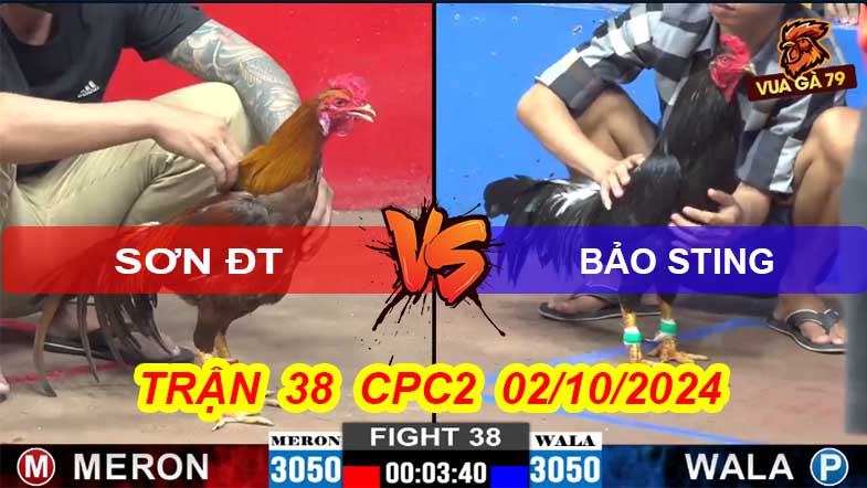 Trận 38 CPC2 02/10/2024 – Bảo Sting Nài Gà Trên Cơ Anh Sơn