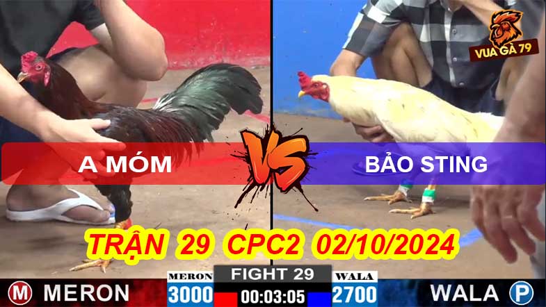 Trận 29 CPC2 02/10/2024 – Ông Vua Wala Bị Anh Móm Đá Hạ