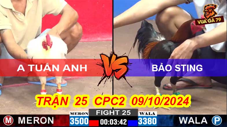 Trận 25 CPC2 09/10/2024 – A Tuấn Anh - Bảo Sting