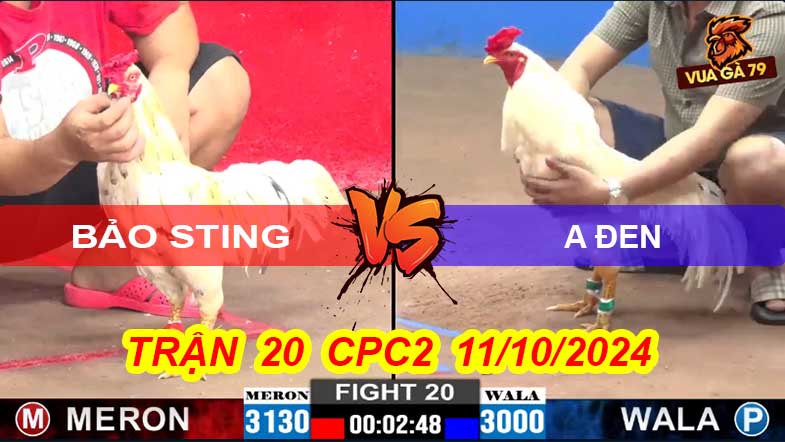 Trận 20 CPC2 11/10/2024 – Bảo Sting Thả Gà Hạ A Đen