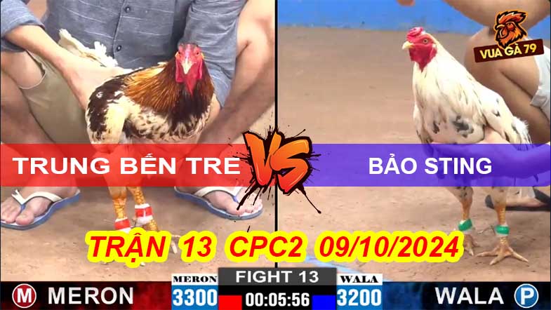 Trận 13 CPC2 09/10/2024 – Gà Bướm Hiệu Bảo Sting Ra Trận