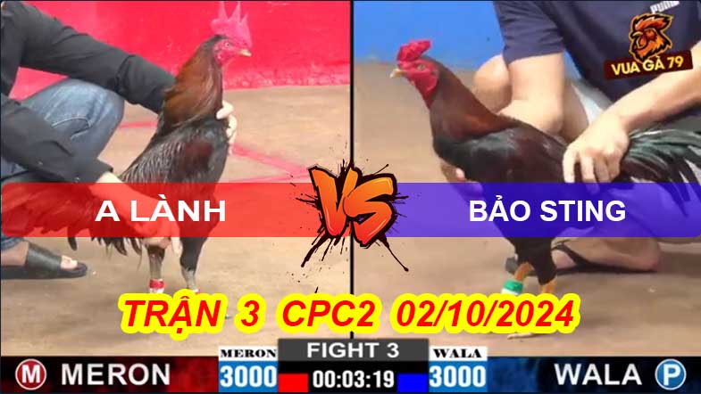https://iframe.mediadelivery.net/play/286889/9b38bc62-d299-423d-b28c-2ac2740a199d