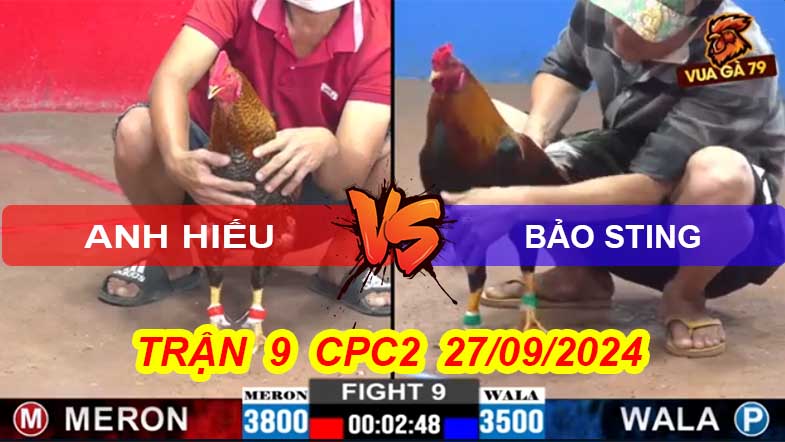 Trận 9 CPC2 27/09/2024 – Anh Bảo Sting Chấp 3 Chấm Gà
