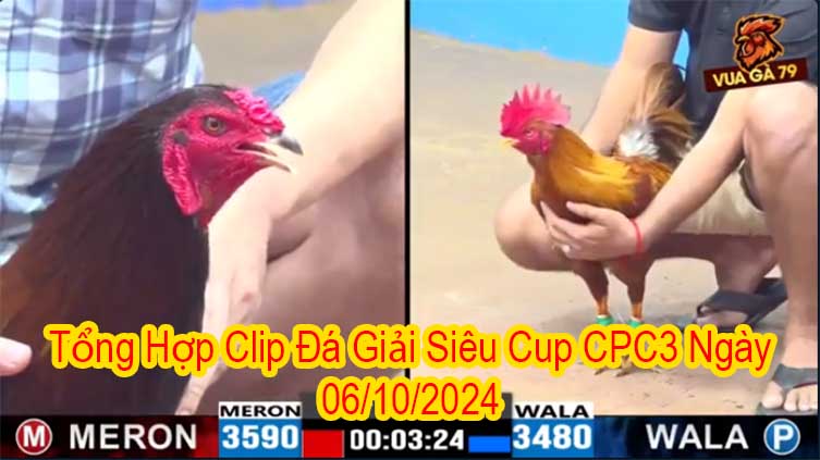 Tổng Hợp Clip Đá Giải Siêu Cup CPC3 Ngày 06/10/2024