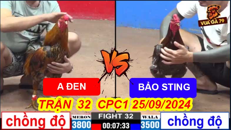 Trận 32 CPC2 25/09/2024 – Anh Đen Đụng Độ A Bảo Sting