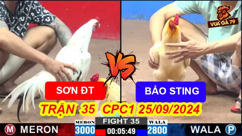 Trận 35 CPC2 25/09/2024 – Gà Anh Bảo Sting Nhỏ Nhưng Hay