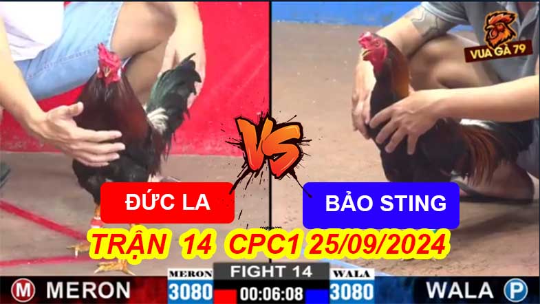 Trận 14 CPC2 25/09/2024 – Anh Đức Long An Đối Đầu Bảo Sting