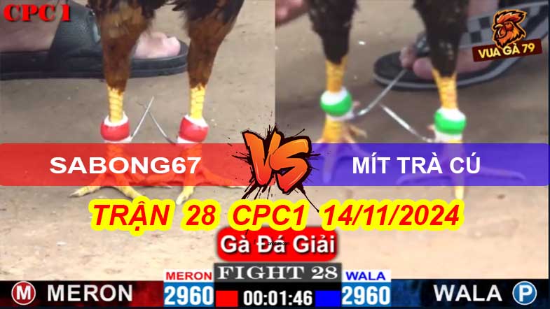 Sabong67 - Mít Trà Cú Trận 28 Giải CPC1 14/11/2024