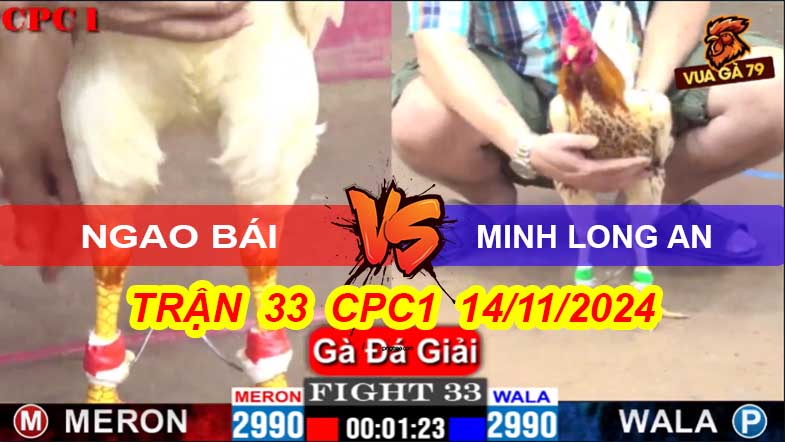 Ngao Bái - Minh Long An Trận 33 Giải CPC1 14/11/2024