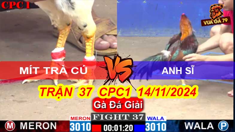 Mít Trà Cú Vs Anh Sĩ Trận 37 Giải CPC1 14/11/2024