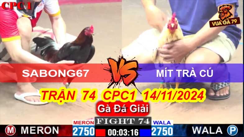 Sabong67 - Mít Trà Cú Trận 74 Giải CPC1 14/11/2024